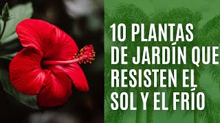 10 PLANTAS de jardín que resisten el CALOR y el FRÍO [upl. by Esma8]