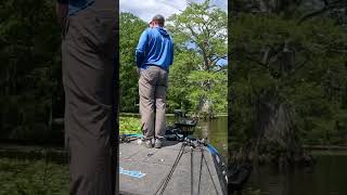 Frog Fishing for Bass on Chickahominy River [upl. by Bencion]