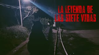 Una leyenda inocente que NO TE DEJARÁ DORMIR  La Leyenda de Las Siete Vidas Trailer Oficial [upl. by Marketa]