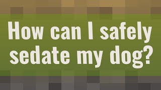 How can I safely sedate my dog [upl. by Eimmac]