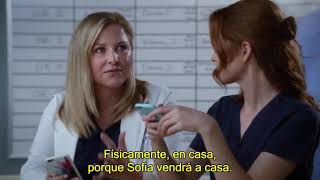 Arizona y Carina  SU HISTORIA PARTE 5  Greys Anatomy subtitulos español [upl. by Nodnart]