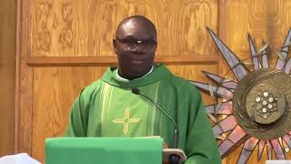 EMBRACING UNITY IN CHRIST  Homily by Fr Chika Kamalu on November 14 2024 [upl. by Timofei]