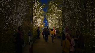 Bicester Village bicestervillage bicester england uk cristmas [upl. by Perry129]