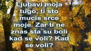 TOZOVAC Predrag Zivkovic JESEN U MOM SOKAKU [upl. by Noach]