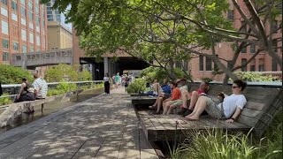 New York City Walk  Relax on the High Line Park  New York Tour 4K travel [upl. by Mcknight]