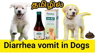 💩diarrhea 🤮vomit in 🐕Dogs Tamil [upl. by My754]