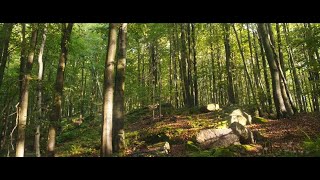 quotPrzeżyj to Polskie parki narodowequot – Świętokrzyski Park Narodowy [upl. by Aiblis883]