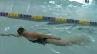 How to Swim the Freestyle Stroke  Breathing Pattern of the Freestyle Stroke [upl. by Treborsemaj]