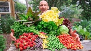 Unbelievable Backyard Garden Harvest This is What I Harvested Today [upl. by Radek]