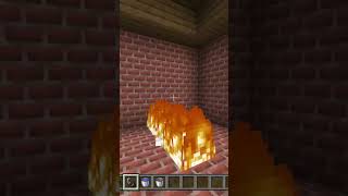 Burning A Endermite In Minecraft 18 [upl. by Holly-Anne]