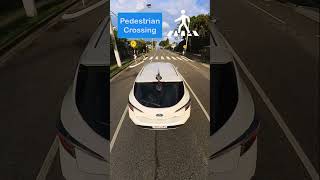 Pedestrian waiting Pedestrian Crossing Rules drivingtesttips pedestriancrossing drivingtest [upl. by Holtz]