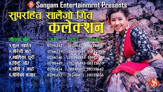 Superhit Top 6 Typical Salaijo Song Audio JukeBox 20752019  By Sangam Digital [upl. by Eadrahc]