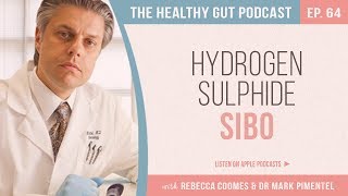 New Hydrogen Sulphide SIBO with Dr Mark Pimentel and Rebecca Coomes  Ep 64 [upl. by Hakeber359]