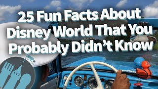 25 Fun Facts About Disney World That You Probably Didnt Know [upl. by Swigart]