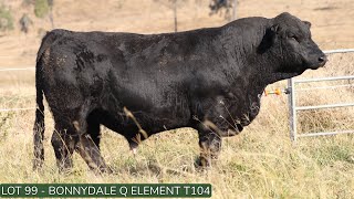 Lot99 Bonnydale Q T104 [upl. by Odnalo99]