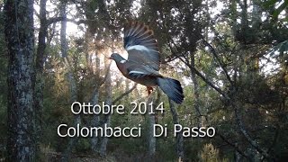 Colombacci di Passo 2014 [upl. by Sefton139]