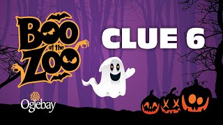 Boo at the Zoo  Clue 6 [upl. by Nisay]