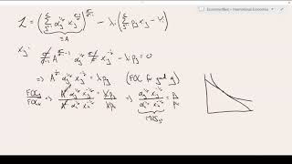 Consumer Optimisation  CES Utility Function [upl. by Haze]