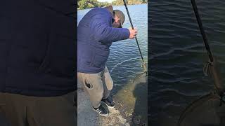 🎣 ReWik Rybárske videa fishing rybolov carpfishing rybareni fish [upl. by Feetal]