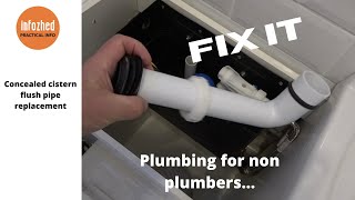 Replacing a concealed Cistern Flush Pipe [upl. by Aititel]