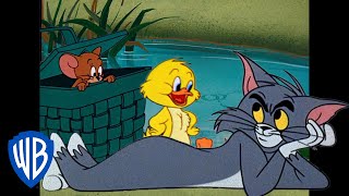 Tom et Jerry en Français 🇫🇷  Bientôt le printemps  WBKidsFrancais [upl. by Philbert]