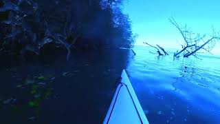 Owen Beach to Point Defiance High Tide Paddle 12 2 2023 [upl. by Nikos]