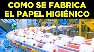 Increíble proceso   COMO se HACE El Papel Higiénico [upl. by Lissa902]