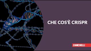 Che cosè CRISPR [upl. by Anolla]