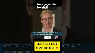 quotDIESE POLITIK KOSTET MENSCHENLEBENquot 🔥 Reichelt amp Weidel scharf gegen Merz satire [upl. by Divan975]