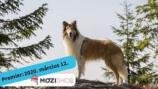 Lassie hazatér  magyar szinkronos előzetes 1  Családi kaland [upl. by Pamela393]