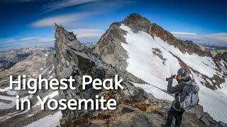 Hiking Mt Lyell The Highest Peak in Yosemite [upl. by Joellen]