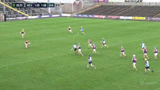 Wexford v Dublin MHC 2023 [upl. by Radie]