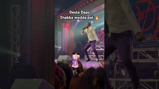 Dexta daps  Shabba madda pot live performance 🔥 dextadaps [upl. by Nitsua]