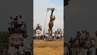 khat par jump Marne wala camel dance [upl. by Ahcarb]