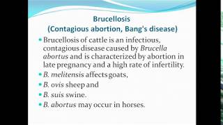 Brucellosis ppt [upl. by Gwenora]