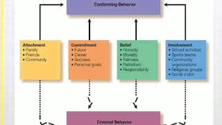 Social Bonding Theory Criminology Sociology  Travis hirschi Social bonding theory [upl. by Elicec371]