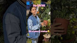 Kn si plant li maine 🥲 DAY 321366 kritikasudhakar adayinmylife trending [upl. by Nylissej]