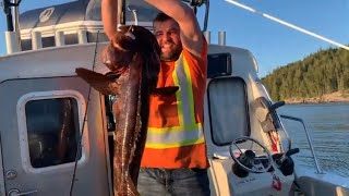 Buzz Bomb Life  LING COD fishing in Beautiful British Columbia [upl. by Rysler]