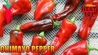 Chimayo Pepper From Refining Fire Chiles [upl. by Hermann]