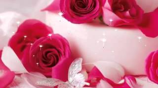 Most Beautiful Flowers Wallpaper [upl. by Larret650]