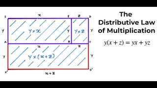 Seeing Double  Distribution Law of Multiplication [upl. by Llesram538]