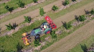 Broyage dherbe Fendt 209P et double broyeur [upl. by Kyd]