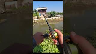 পদ্মা নদীর বুকে মাছ শিকার  fishing hookfishing riverfishing shorts fishingvideos padmariver [upl. by Kluge70]