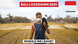 Bali im Lockdown Ist es Zeit abzureisen Einreise Impfung B211A Visum 2021 Vlog 24 [upl. by Llednew]