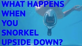 What Happens when you Snorkel Upside Down [upl. by Demha]