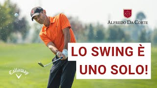 Lo swing è uno solo [upl. by Yrrac255]