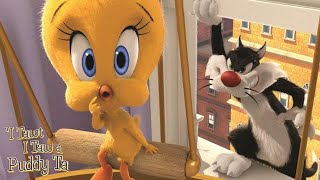 I Tawt I Taw a Puddy Tat 2011 Looney Tunes Sylvester and Tweety Cartoon Short Film  Review [upl. by Rind]