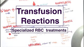 Blood Transfusion Reactions  Specialised RBC treatments  USMLE  MCQs [upl. by Alburg161]