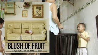 IDFA 12 Blush of Fruit Trailer 1 Documentary [upl. by Postman774]