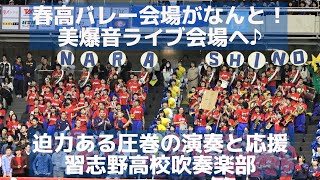 春高バレー会場を習志野高校吹奏楽部の美爆音ライブ会場に変えてしまった！迫力ある圧巻の演奏と応援（モンキーターンやレッツゴー習志野も） [upl. by Moberg787]